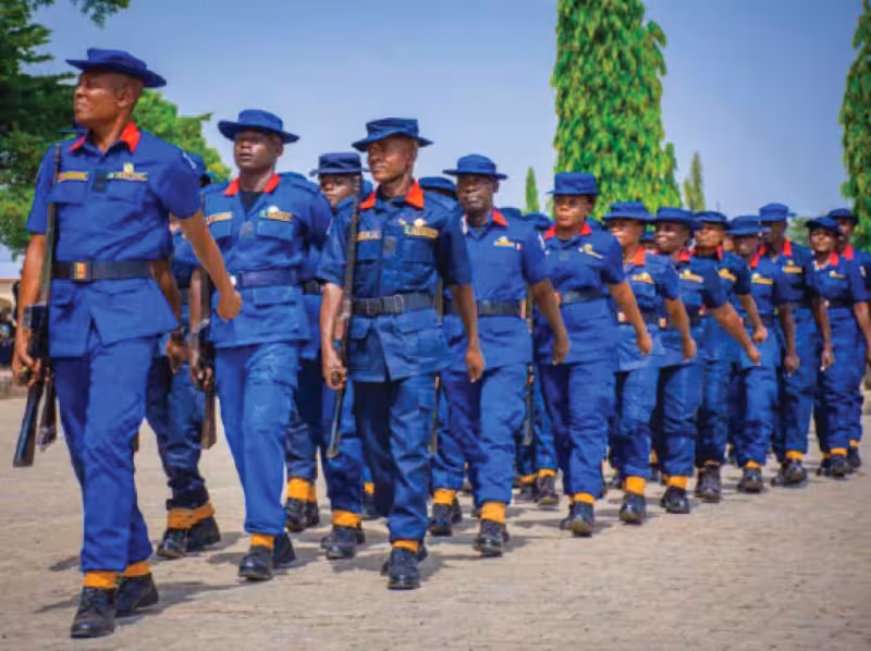 Over 360,000 applicants disqualified as FG releases results for immigration, fire service, NSCDC recruitment - Businessday NG