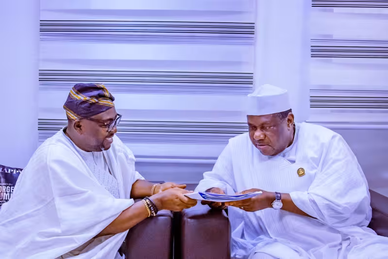 Bayo Adelabu resigns as power minister, proposes coordinating minister for energy role