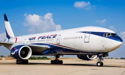Airline regulator orders suspension of services to 11 domestic carriers
