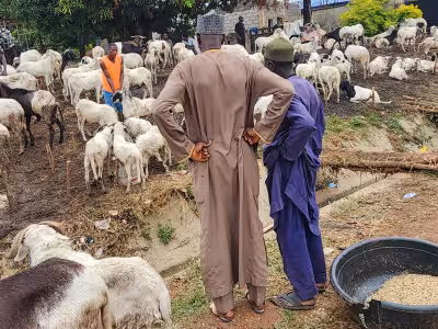 Nigeria families trim Eid spending as Cost-of-living Crisis bites harder