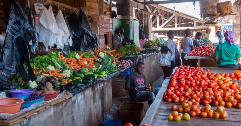 Business Insider Africa: Governments push digital taxes into informal economies